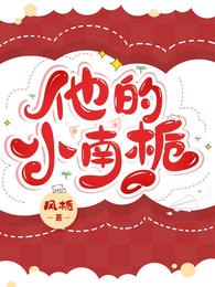 他的小南栀 封面