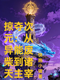 掠夺次元:从异能废柴到诸天主宰 封面