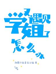 又遇见学姐了怎么办 封面