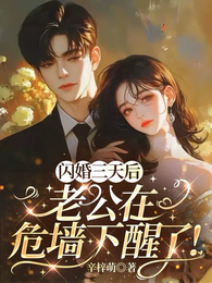 闪婚三天后，老公在危墙下醒了！ 封面