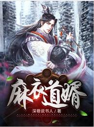 麻衣道婿 封面