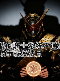 我的骑士系统不通过政审就没法用 封面