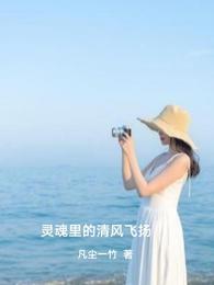 灵魂里的清风飞扬 封面