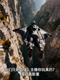 我们只是口嗨，主播你玩真的？ 封面