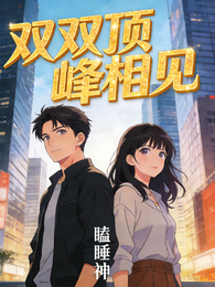 双双顶峰相见 封面