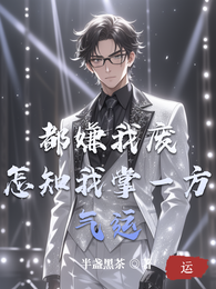 都嫌我废,怎知我掌一方气运 封面