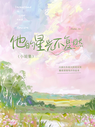 他的星光不复燃 封面