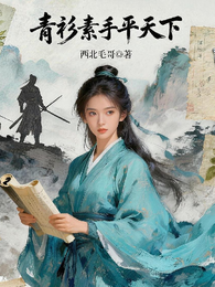 青衫素手平天下 封面