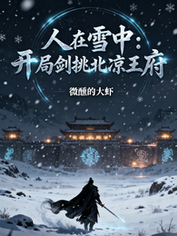 人在雪中:开局剑挑北凉王府 封面