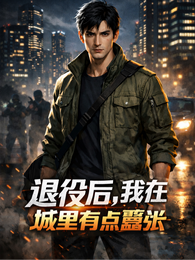 退役后，我在城里有点嚣张 封面