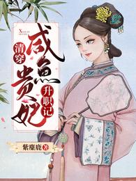 清穿:咸鱼贵妃升职记 封面
