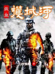铁血护城河 封面