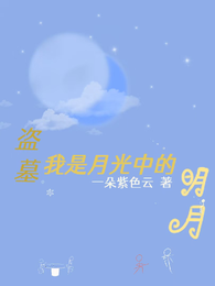 盗墓：我是月光中的明月 封面