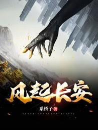 风起长安 封面