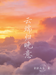 云端归晚意 封面