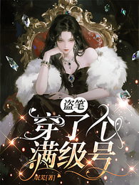 盗笔：穿了个满级号 封面