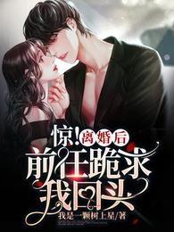 惊!离婚后,前任跪求我回头 封面
