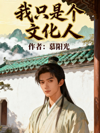 我只是个文化人 封面