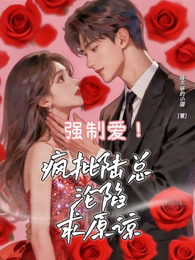强制爱!疯批陆总沦陷求原谅 封面
