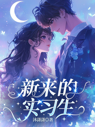 新来的实习生 封面