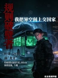 规则破壁者：我把异空间上交国家 封面