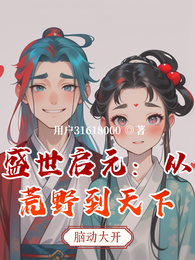 盛世启元：从荒野到天下 封面
