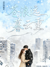 苍浪远,暮云重 封面