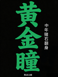 黄金瞳:中年赌石翻身 封面