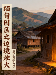 缅甸园区之边境烛火 封面