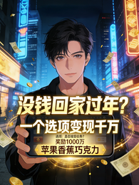 没钱回家过年？一个选项变现千万 封面