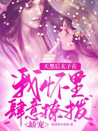 天黑后太子在我怀里肆意撩拨娇宠 封面