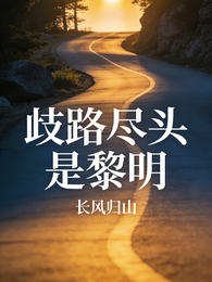 歧路尽头是黎明 封面