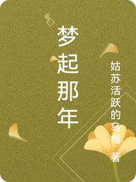 梦起那年 封面