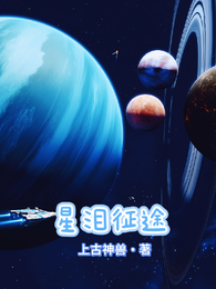 星泪征途 封面