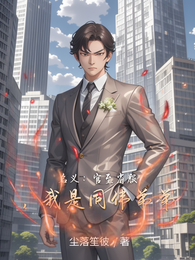 名义：官至省服，我是同伟弟弟 封面
