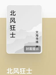 北风狂士 封面