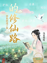 弹幕剧透了我的修仙路 封面