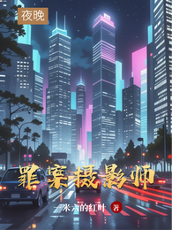 罪案摄影师 封面