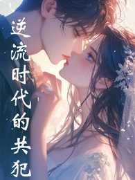 逆流时代的共犯 封面