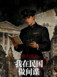 我在民国做间谍 封面