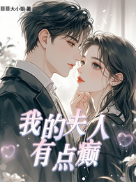 我的夫人有点癫 封面