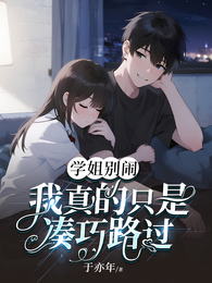 学姐别闹,我真的只是凑巧路过 封面