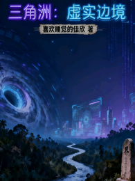 三角洲：虚实边境 封面
