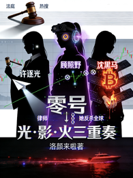 零号律师她反杀全球 封面