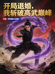 开局退婚，我斩破高武巅峰 封面