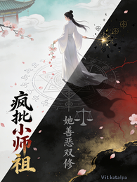 疯批小师祖她善恶双休 封面