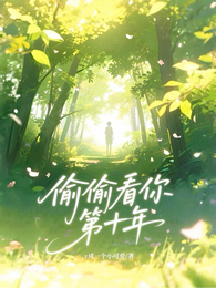 偷偷看你第十年 封面