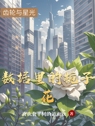 数据里的栀子花 封面