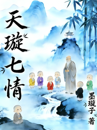 天璇七情 封面
