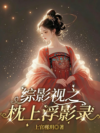 综影视之枕上浮影录 封面